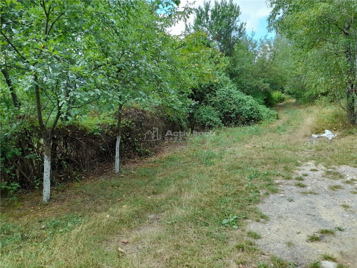 Resita,5561 mp.Teren INTRAVILAN Km.8,la Sosea 10 Euro mp.. - foto 8