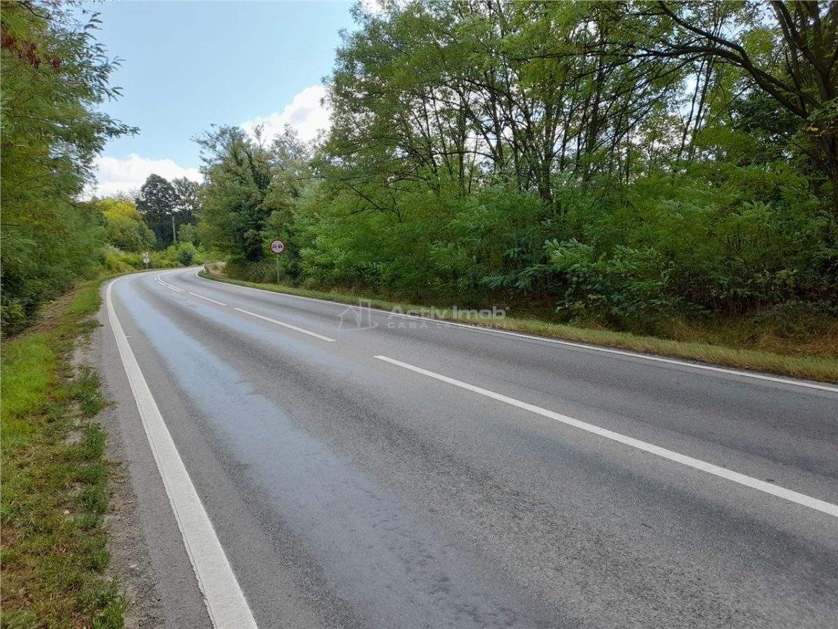 Resita,5561 mp.Teren INTRAVILAN Km.8,la Sosea 10 Euro mp.. - foto 9