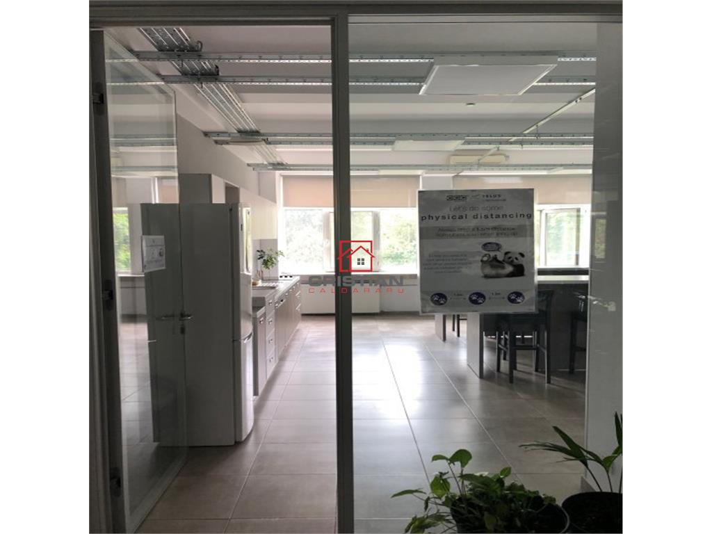 Inchiriere birouri Basarabia - FAUR, Bucuresti - foto 10