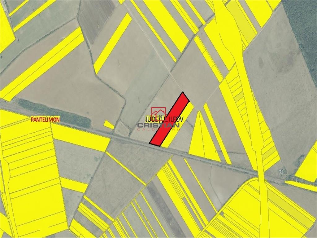 Vanzare teren Pantelimon - Centura, Ilfov - 