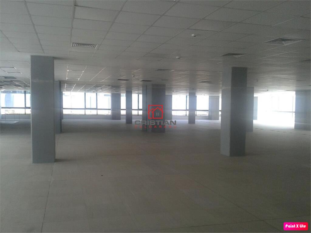 Inchiriere birouri Grozavesti - Crangasi, Bucuresti - foto 13