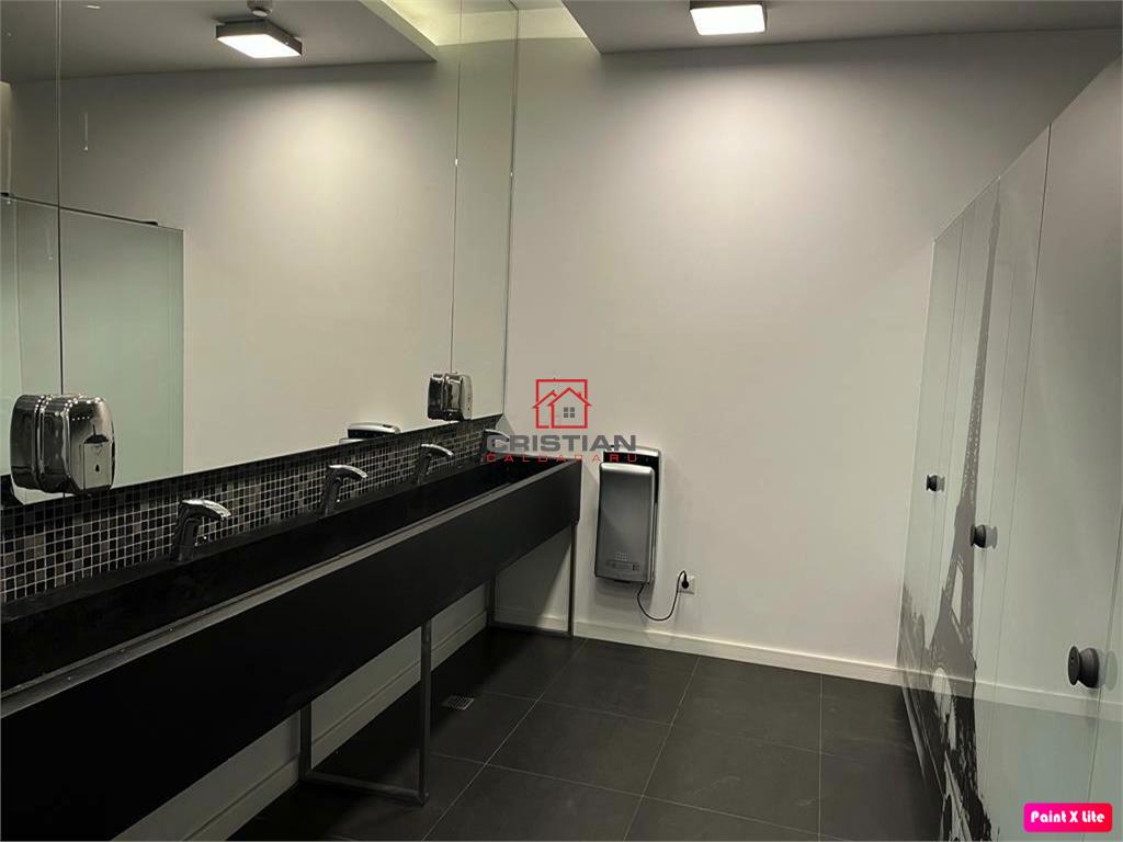 Inchiriere birouri Grozavesti - Crangasi, Bucuresti - foto 17