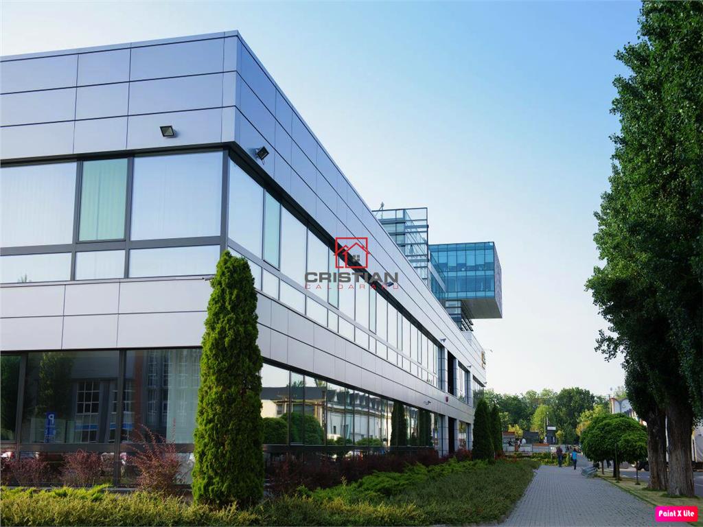 Inchiriere birouri Grozavesti - Crangasi, Bucuresti - foto 5