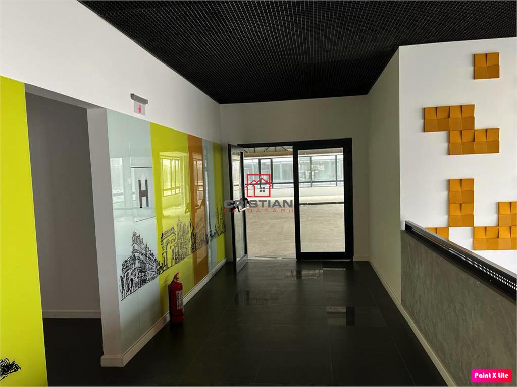 Inchiriere birouri Grozavesti - Crangasi, Bucuresti - foto 10