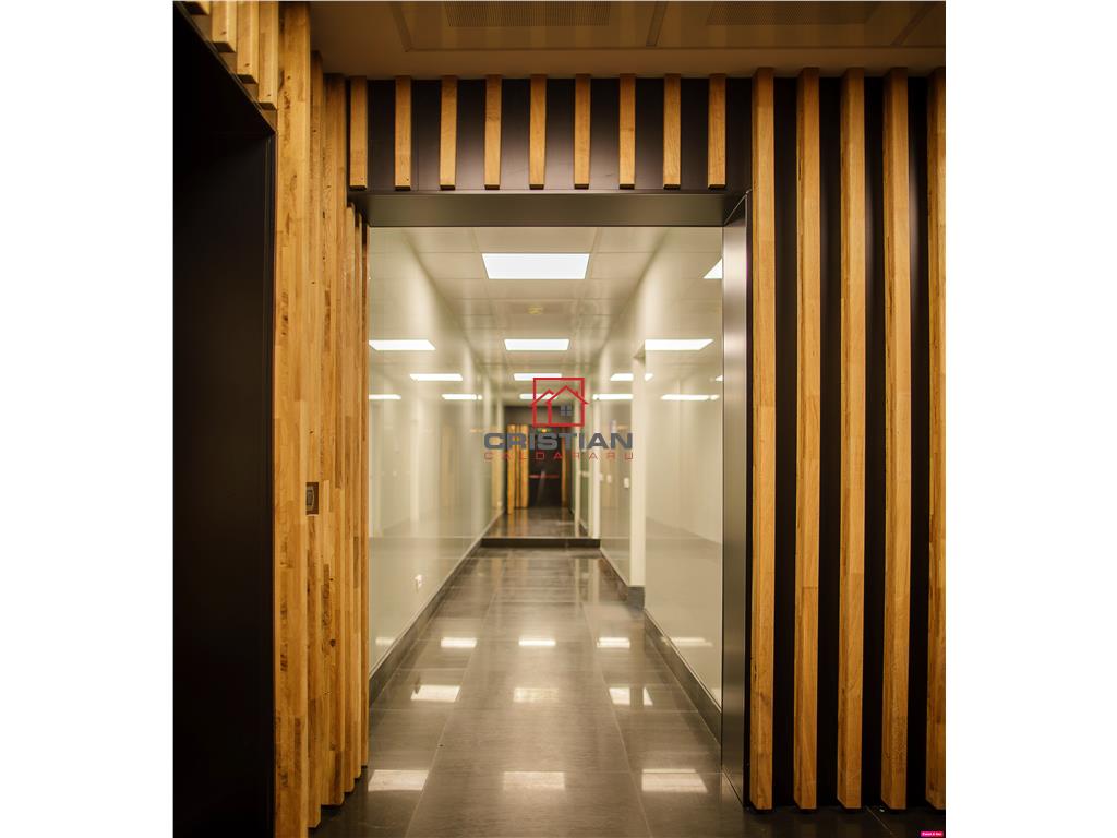 Inchiriere birouri Baneasa - Aerogarii, Bucuresti - foto 6