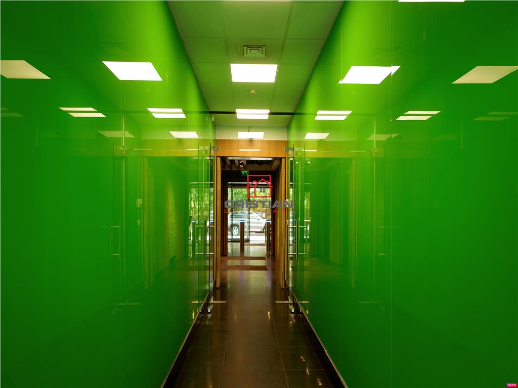 Inchiriere birouri Baneasa - Aerogarii, Bucuresti - foto 10