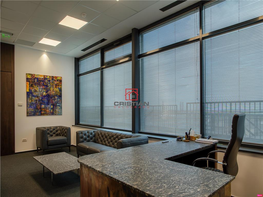 Inchiriere birouri Baneasa - Aerogarii, Bucuresti - foto 12