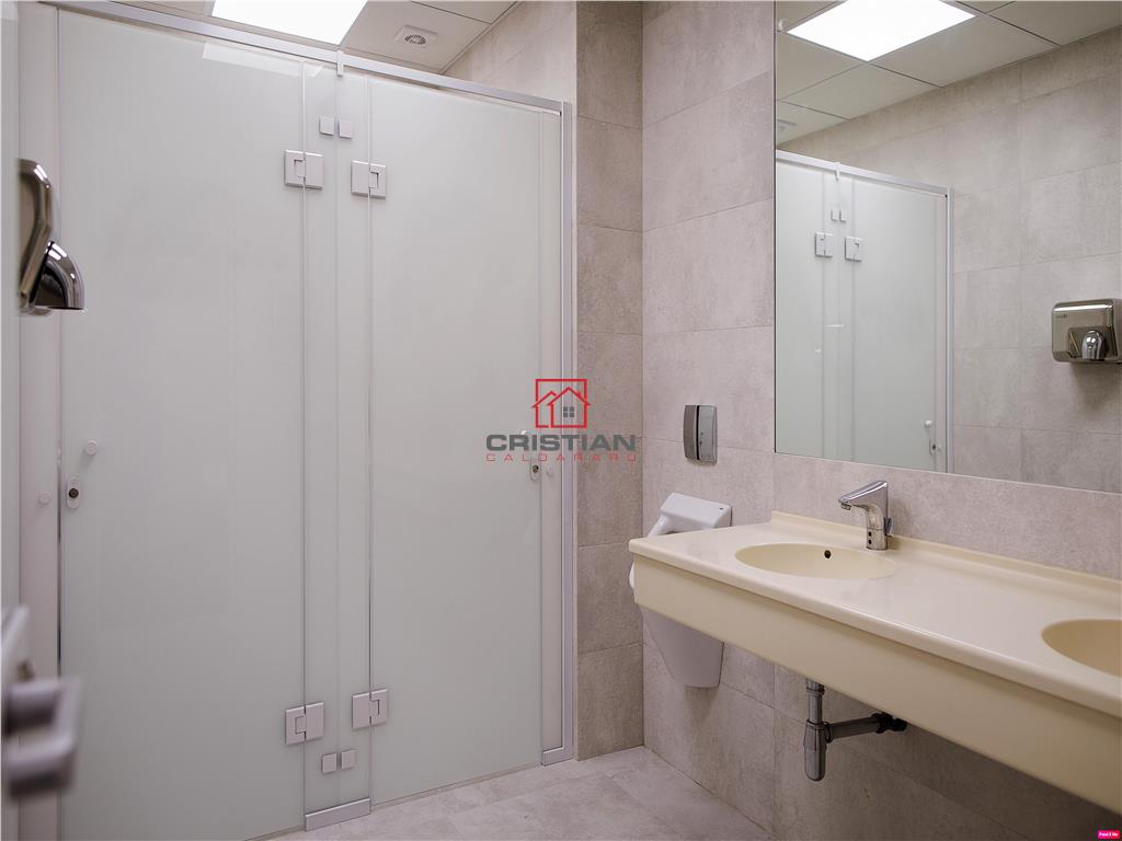 Inchiriere birouri Baneasa - Aerogarii, Bucuresti - foto 14