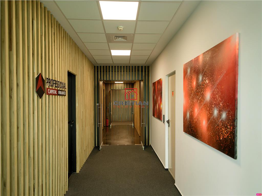 Inchiriere birouri Baneasa - Aerogarii, Bucuresti - foto 10