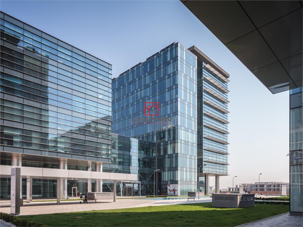 Inchiriere birouri Pipera - Bucuresti Nord - Petricani, Bucuresti - foto 2