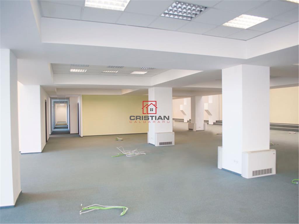 Inchiriere birouri Theodor Pallady, Bucuresti - foto 6