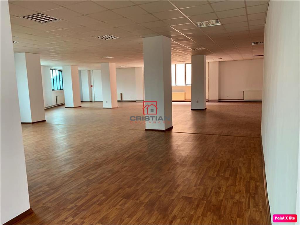Inchiriere birouri Grozavesti - Splaiul Independentei, Bucuresti - 