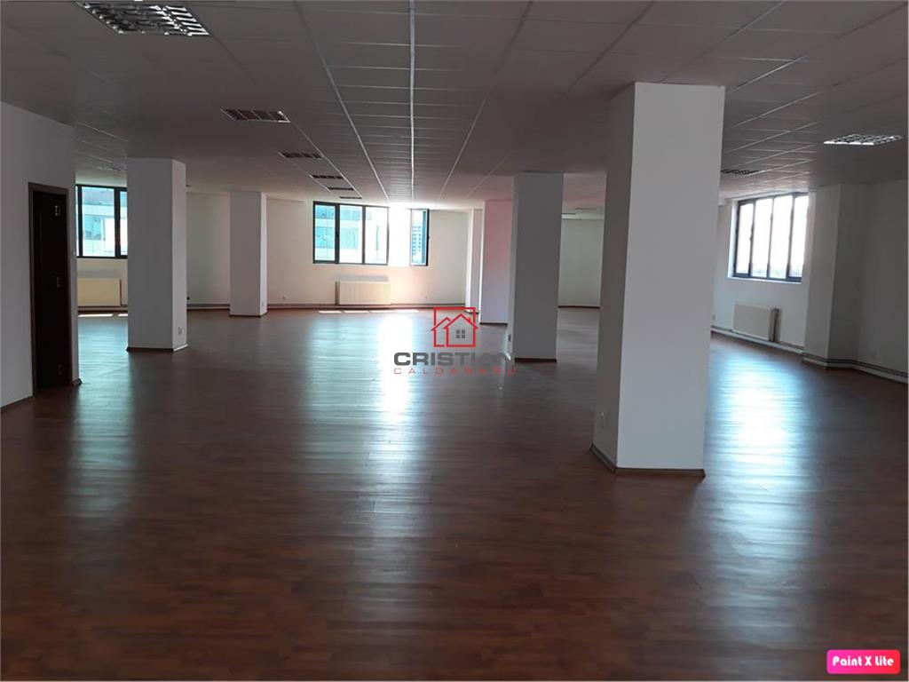 Inchiriere birouri Grozavesti - Splaiul Independentei, Bucuresti - foto 3
