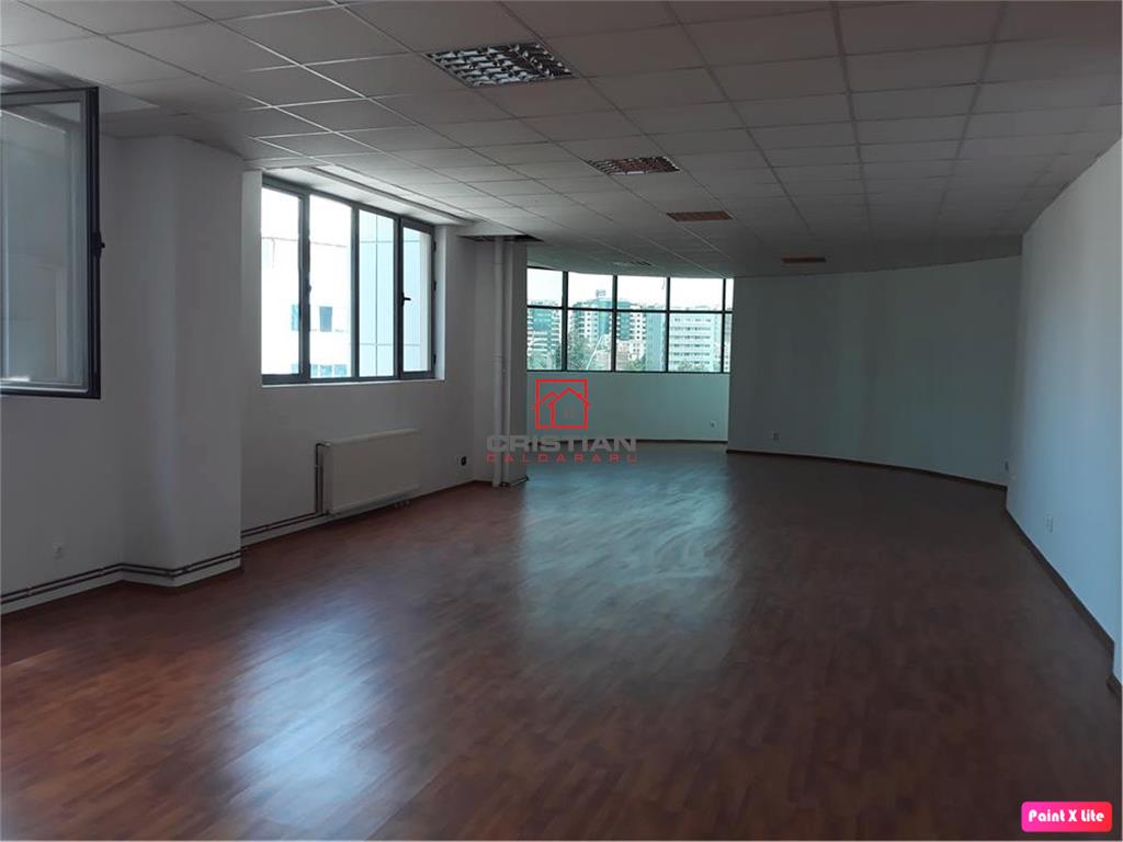 Inchiriere birouri Grozavesti - Splaiul Independentei, Bucuresti - foto 4