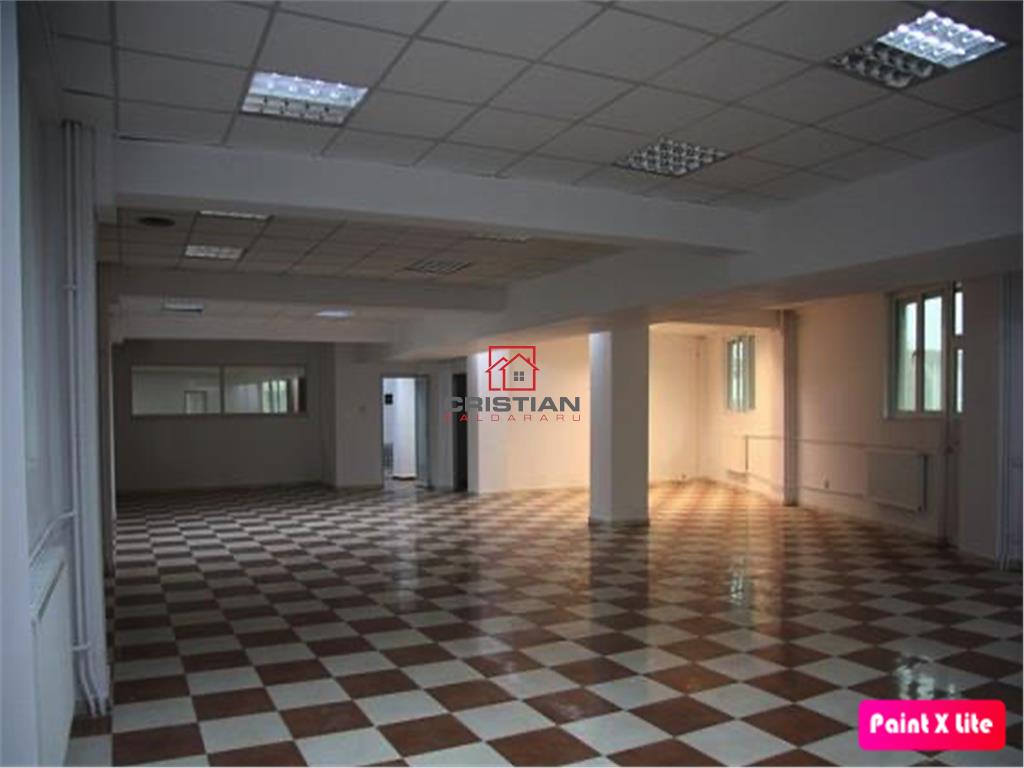 Inchiriere birouri Grozavesti - Splaiul Independentei, Bucuresti - 