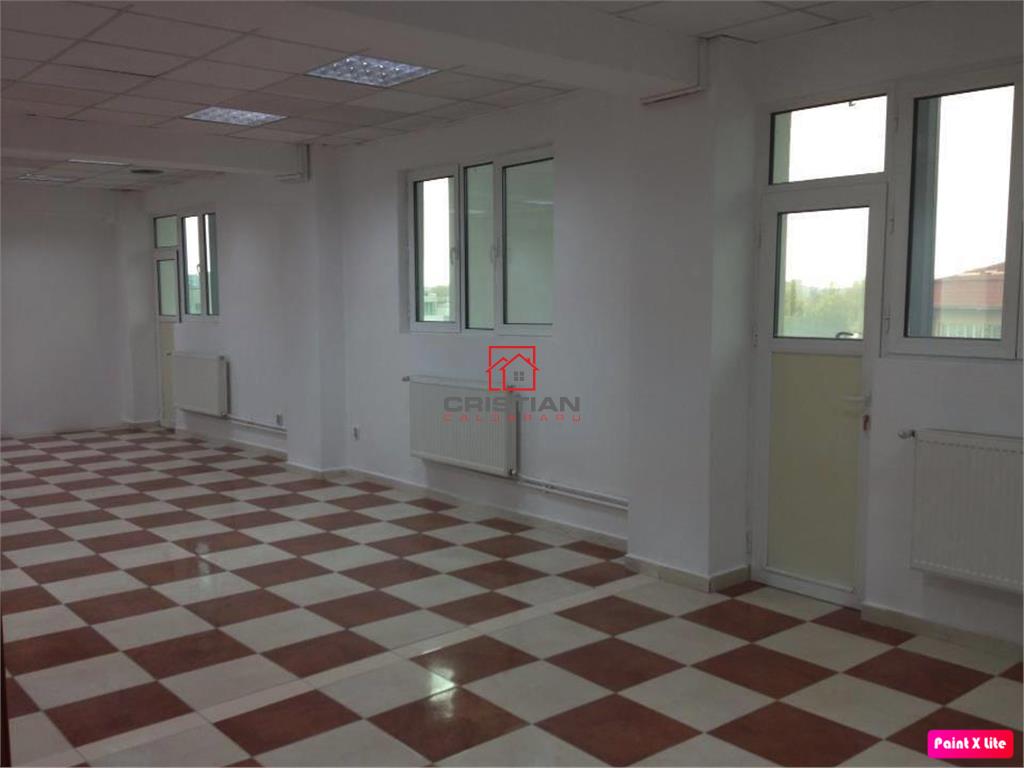 Inchiriere birouri Grozavesti - Splaiul Independentei, Bucuresti - foto 4