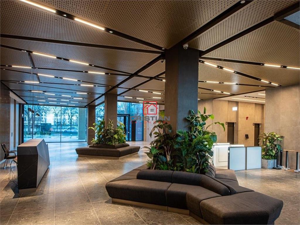 Inchiriere birouri Cotroceni - Razoare, Bucuresti - foto 18