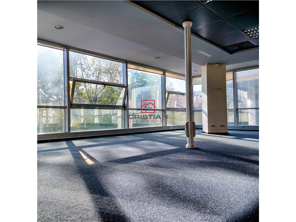 Inchiriere birouri Piata Victoriei - Titulescu, Bucuresti - foto 6