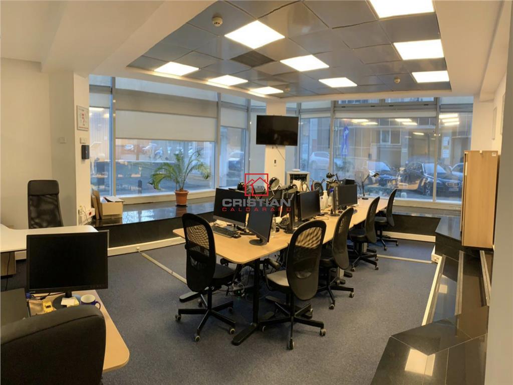 Inchiriere birouri Piata Victoriei - Titulescu, Bucuresti - foto 10