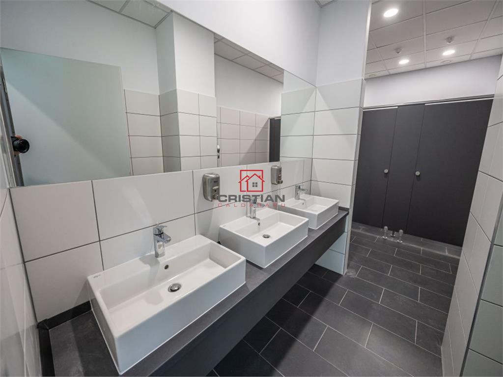 Inchiriere birouri Aviatiei - Pipera - Porsche Nord, Bucuresti - foto 12