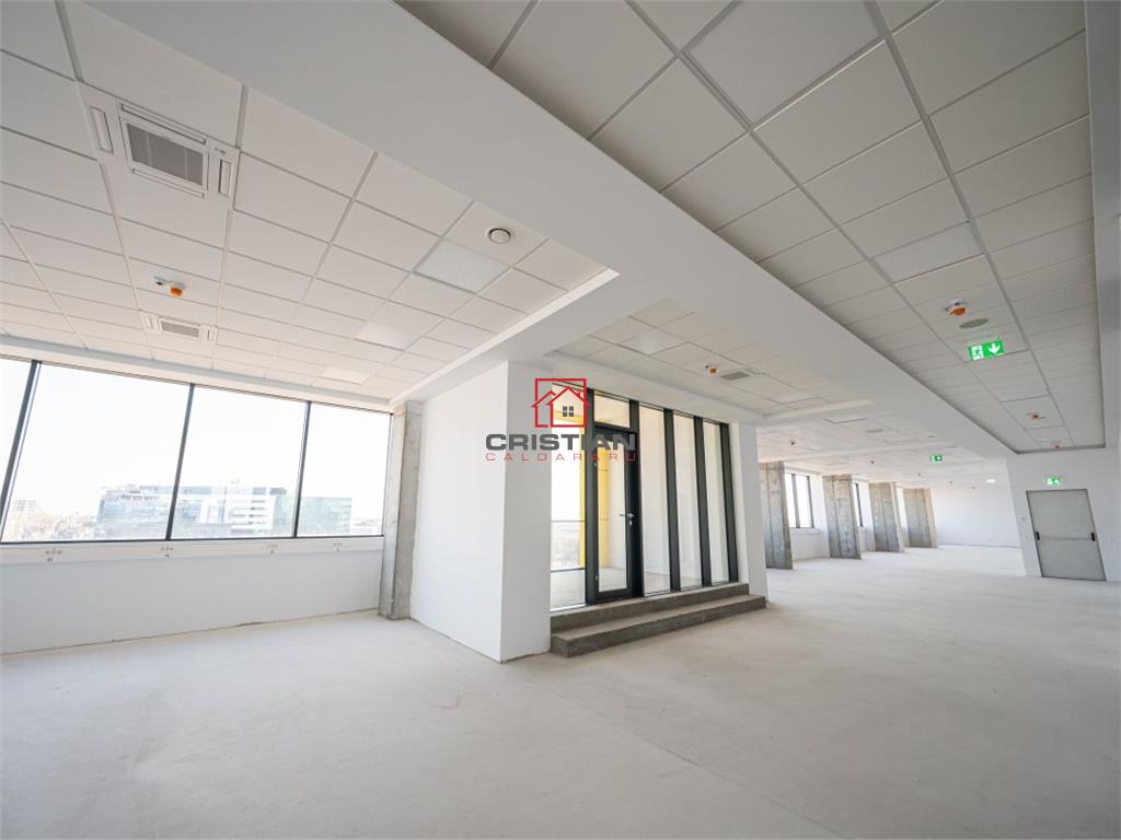 Inchiriere birouri Aviatiei - Pipera - Porsche Nord, Bucuresti - foto 10