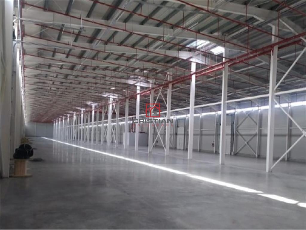 Vanzare depozit/hala/spatiu industrial Theodor Pallady - Drumul Intre Tarlale - Oxigenului - foto 6