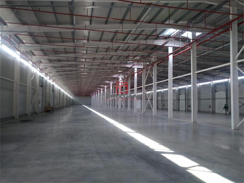 Vanzare depozit/hala/spatiu industrial Theodor Pallady - Drumul Intre Tarlale - Oxigenului - foto 8