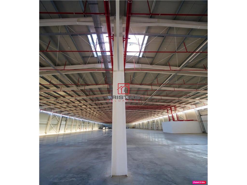 Vanzare depozit/hala/spatiu industrial Theodor Pallady - Drumul Intre Tarlale - Oxigenului - foto 9