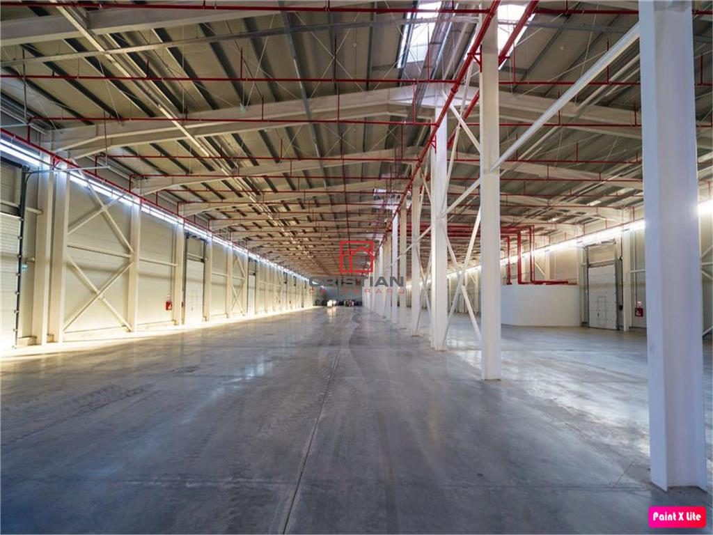 Vanzare depozit/hala/spatiu industrial Theodor Pallady - Drumul Intre Tarlale - Oxigenului - foto 10