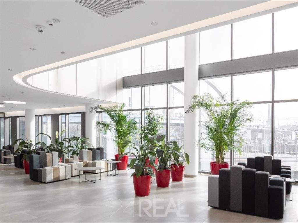 Birouri de inchiriat in Orhideea Towers - 510 mp - foto 6