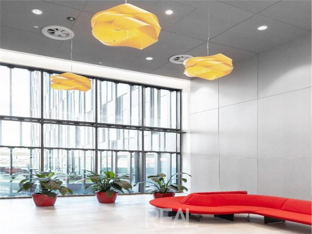 Birouri de inchiriat in Orhideea Towers - 510 mp - foto 8