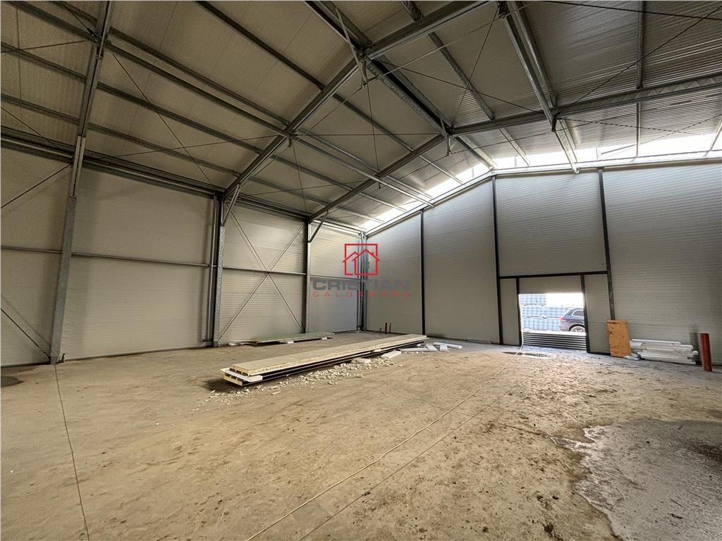 Inchiriere depozit/hala/spatiu industrial Jilava - Giurgiului - foto 13