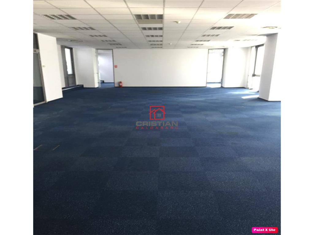 Inchiriere birouri Timpuri Noi - Splaiul Unirii, Bucuresti - foto 6