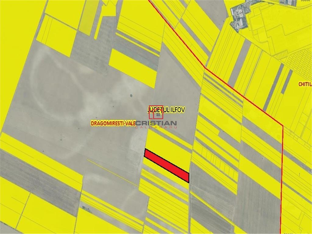 Vanzare teren extravilan Chitila - Dragomiresti Vale - Padurii, Ilfov - 