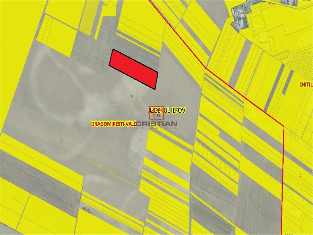 Vanzare teren Chitila - Dragomiresti Vale - Padurii, Ilfov - 