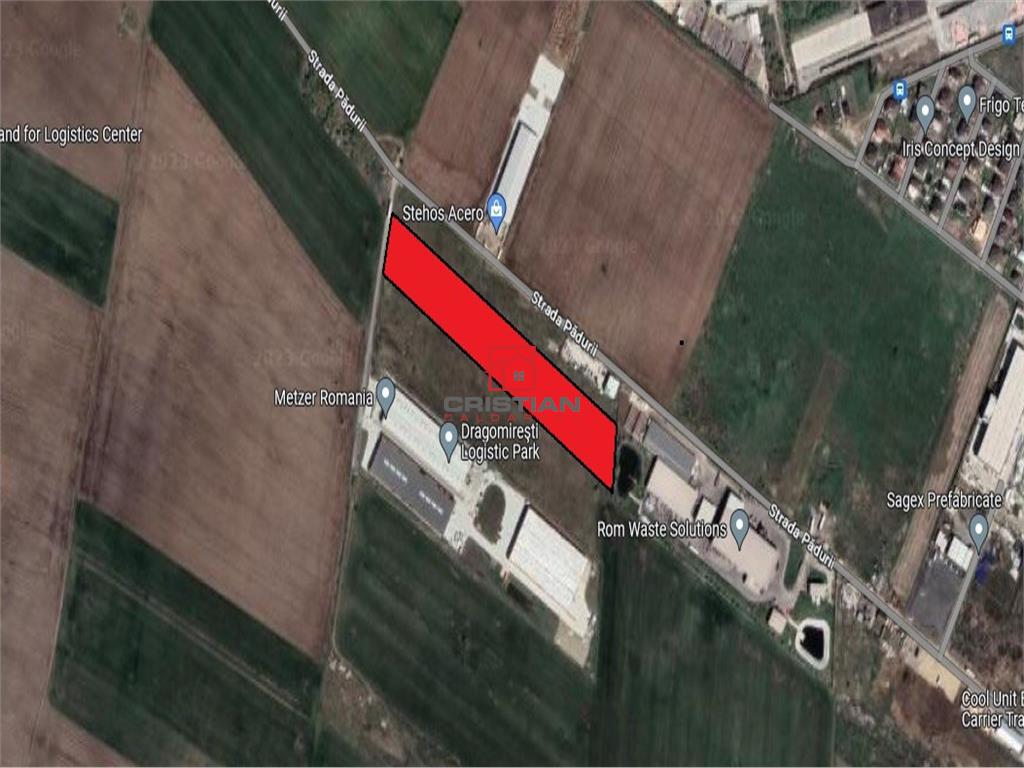 Vanzare teren Chitila - Dragomiresti Vale - Padurii, Ilfov - foto 2