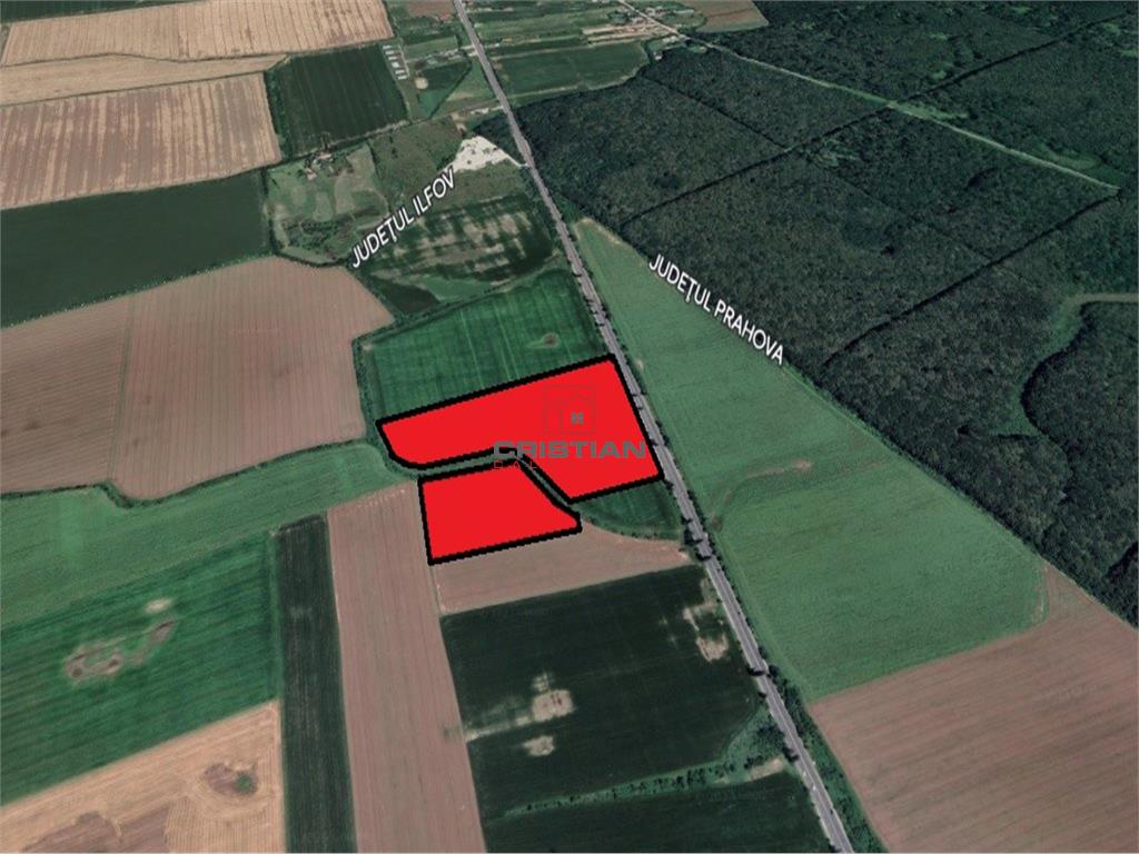 Vanzare teren Ciolpani - Potigrafu - DN1, Ilfov - 