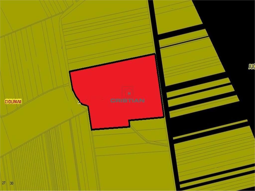 Vanzare teren Ciolpani - Potigrafu - DN1, Ilfov - foto 2