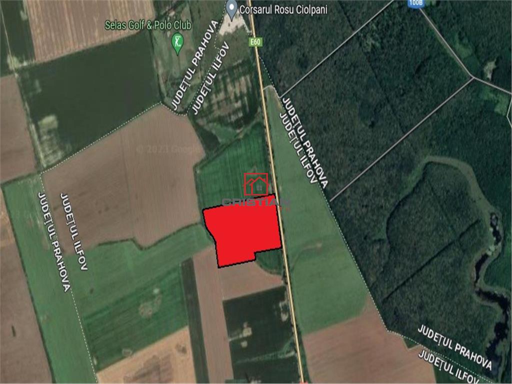 Vanzare teren Ciolpani - Potigrafu - DN1, Ilfov - foto 3