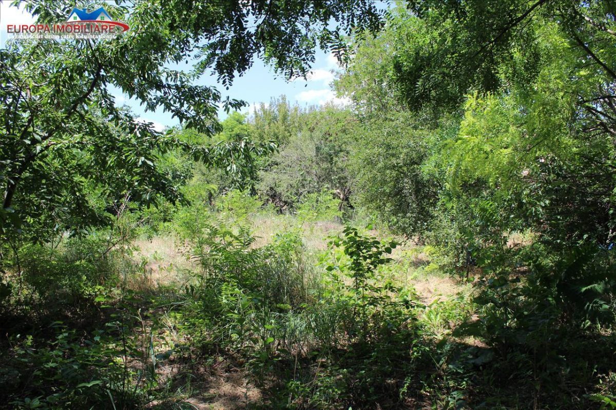 Teren + 2 corpuri de casa de vanzare in zona Dallas - foto 4