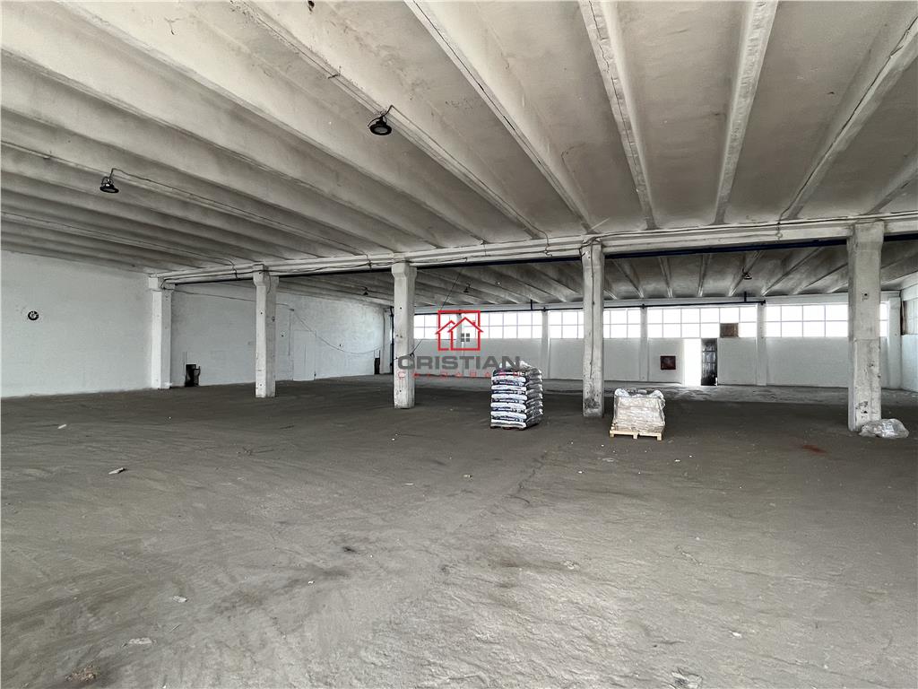 Inchiriere depozit/hala/spatiu industrial Popesti Leordeni - Centura - foto 8
