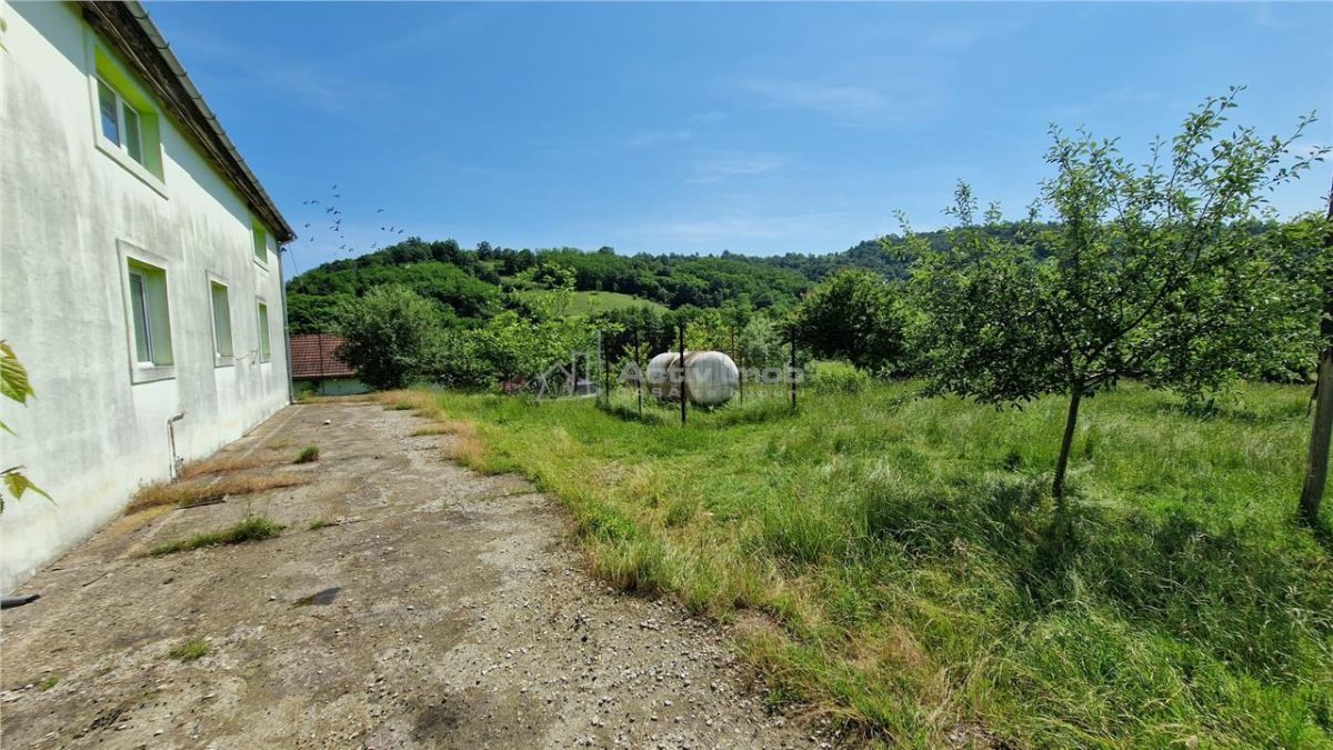 Farliug Casa sau Afacere 125 000 euro.Comision ZERO Cumparator - foto 2