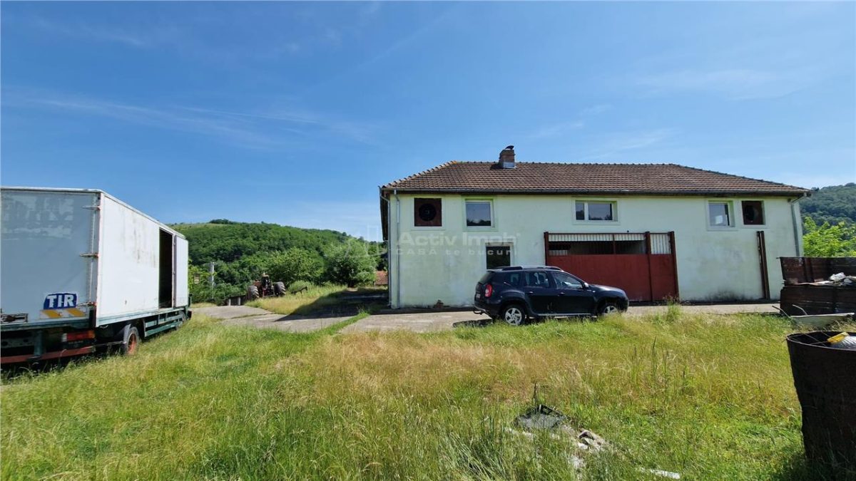 Farliug Casa sau Afacere 125 000 euro.Comision ZERO Cumparator - foto 3