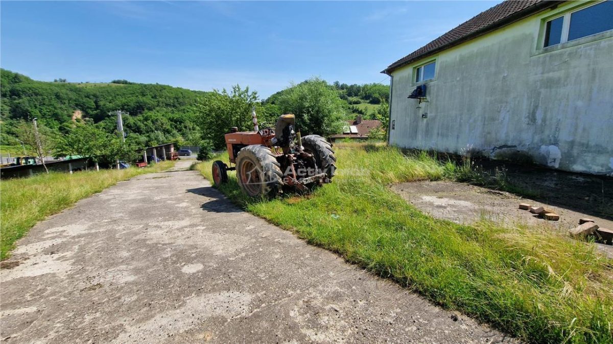 Farliug Casa sau Afacere 125 000 euro.Comision ZERO Cumparator - foto 4