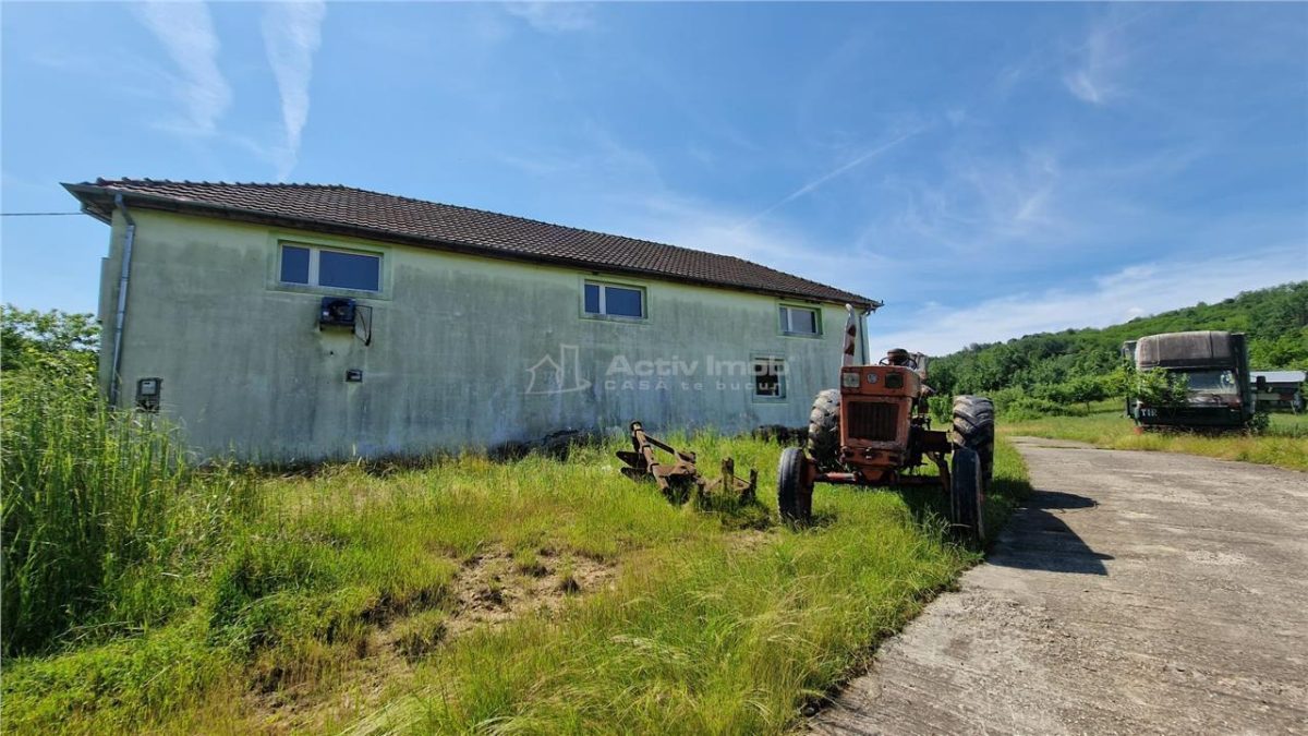 Farliug Casa sau Afacere 125 000 euro.Comision ZERO Cumparator - foto 5