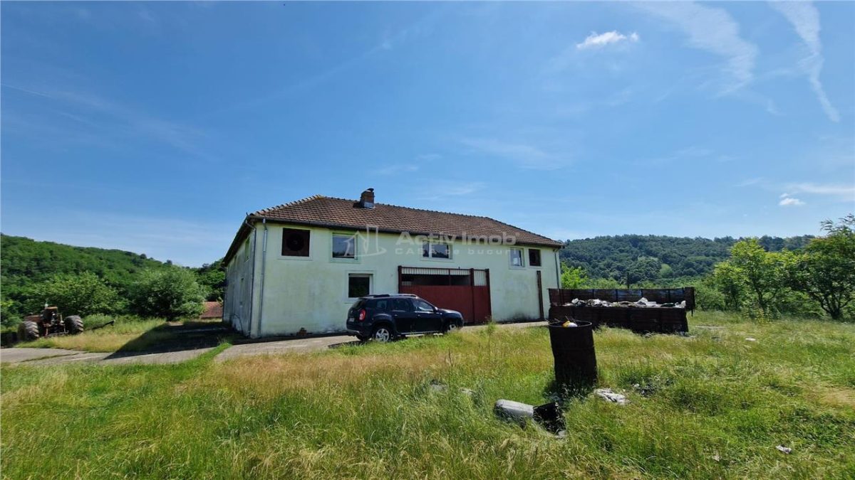 Farliug Casa sau Afacere 125 000 euro.Comision ZERO Cumparator - foto 7