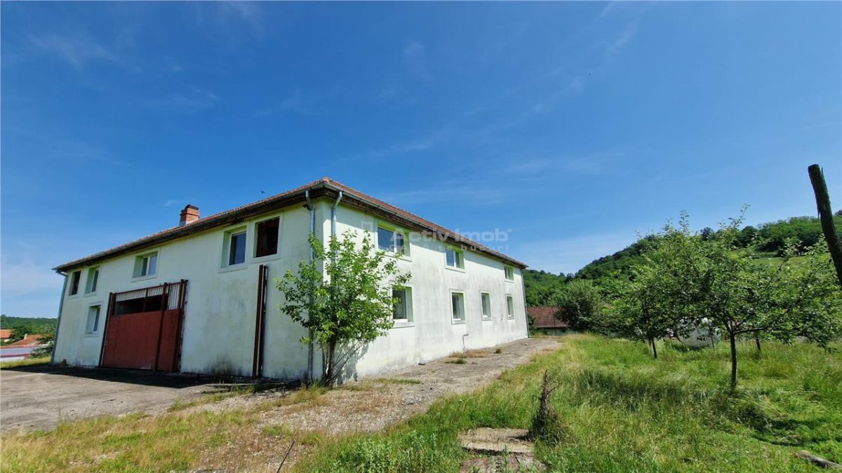 Farliug Casa sau Afacere 125 000 euro.Comision ZERO Cumparator - foto 8