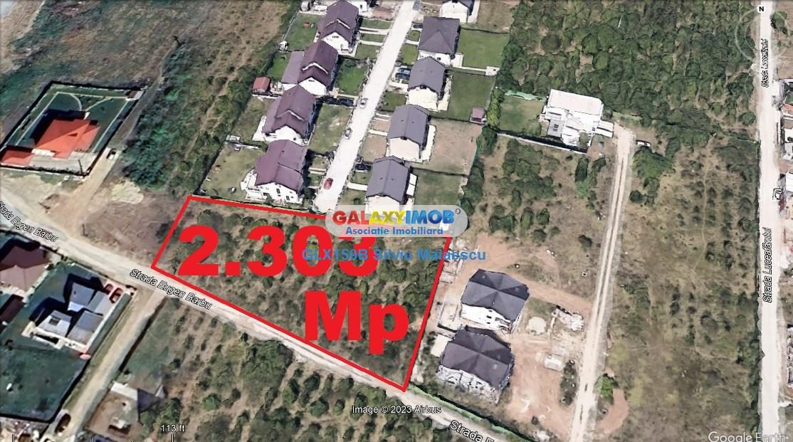 Mogosoaia 2.303 Mp (Ideal Investitie) - str. Eugen Barbu - foto 7