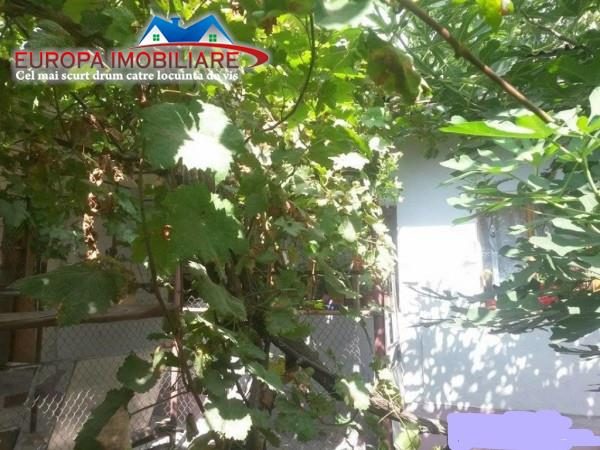 Casa cu 5 camere Zona Centrala - foto 6