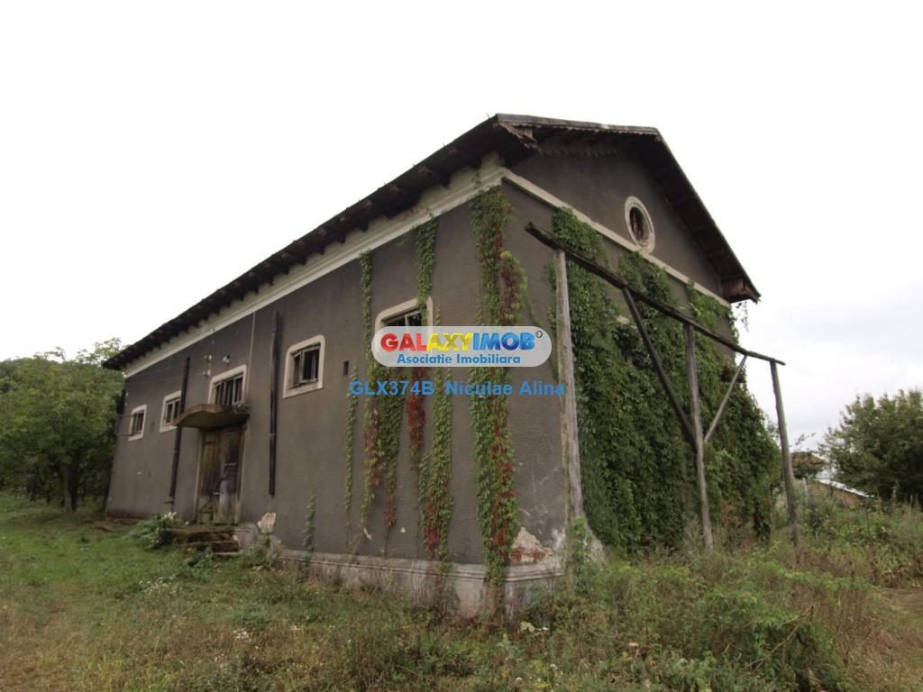 Teren intravilan comuna Bogati sat Birloi Jud. Arges - 